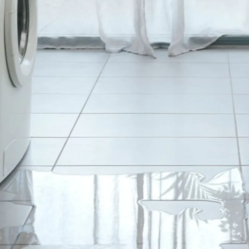Appliance Leak Cleanup in Redlands, CO